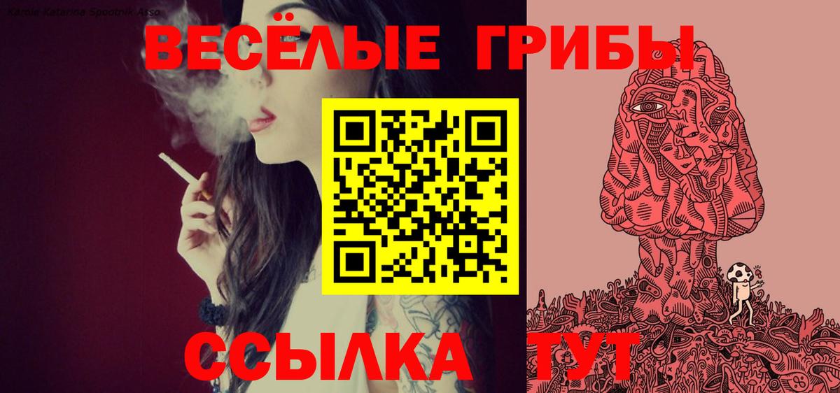 Галлюциногенные грибы Psilocybine cubensis Ставрополь